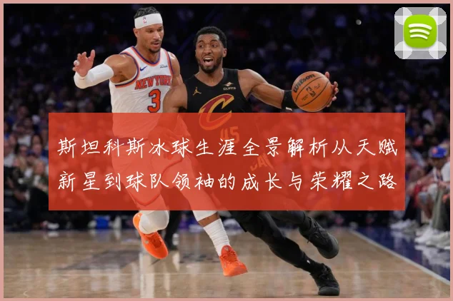 斯坦科斯冰球生涯全景解析从天赋新星到球队领袖的成长与荣耀之路：最新赛事动态与深度分析